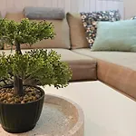 Mspirit Appartement