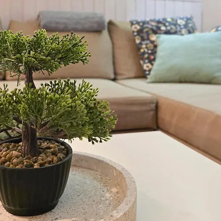 Mspirit Διαμέρισμα